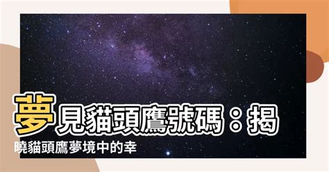 夢到自己發燒號碼|夢境中的數字預示著什麼？ 解讀夢境數字，找到夢裡。